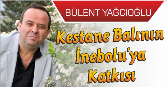 KESTANE BALININ NEBOLU'YA KATKISI