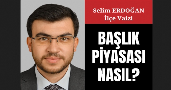 BAŞLIK PİYASASI NASIL?