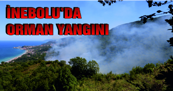NEBOLU'DA ORMAN YANGINI