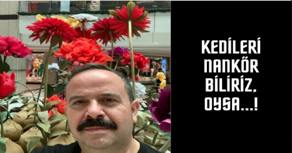 KEDLER NANKR BLRZ, OYSA...!