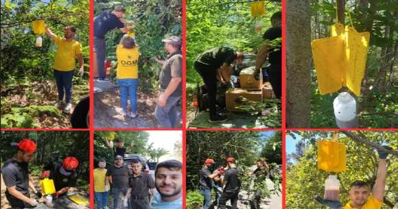 NEBOLU ORMAN LETMES KATL ARILARA KARI TAM KADRO SAHADA