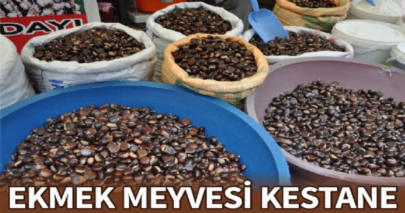 EKMEK MEYVES KESTANE