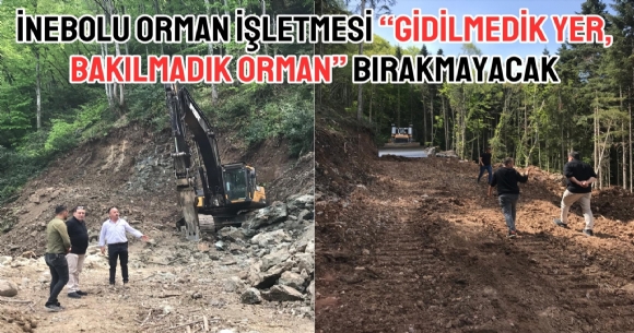 NEBOLU ORMAN LETMES GDLMEDK YER, BAKILMADIK ORMAN BIRAKMAYACAK