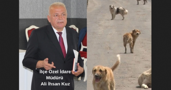 KÖYLERDEKİ SOKAK KÖPEKLERİ TOPLANIYOR