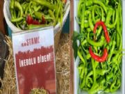 �NEBOLU B�BER� ADANA LEZZET FEST�VAL�'NDE TANITILDI
