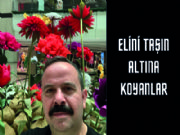 ELN TAIN ALTINA KOYANLAR